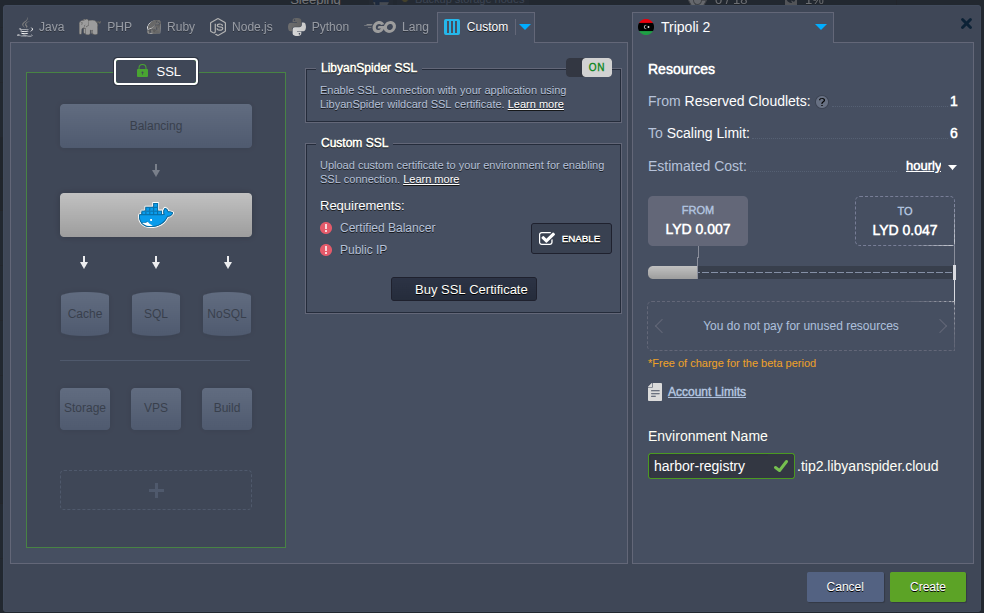 Image 2: The JPaas environment wizard with the 'SSL' toggle enabled for the new environment.